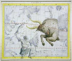 Constellation du Taureau, planche 2 de 